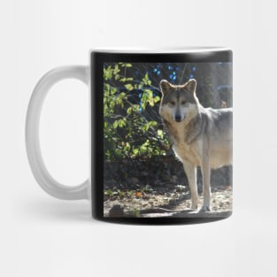 Grey Wolf Mug